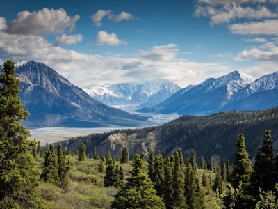 专业户外装备在自然环境中展示实用性与设计感